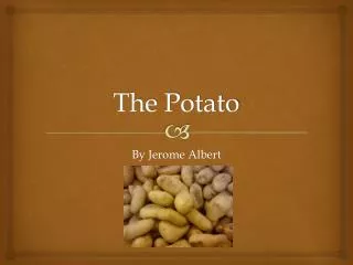 The Potato