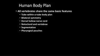 human body plan