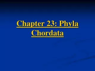 Chapter 23: Phyla Chordata