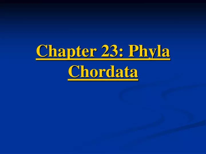 chapter 23 phyla chordata