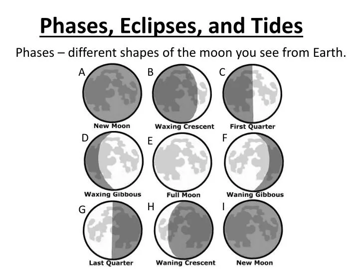 phases different shapes of the moon you see from earth