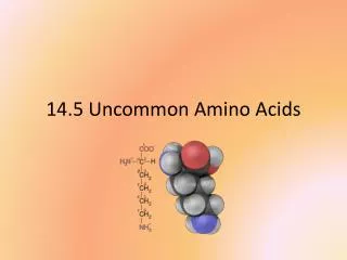 14.5 Uncommon Amino Acids