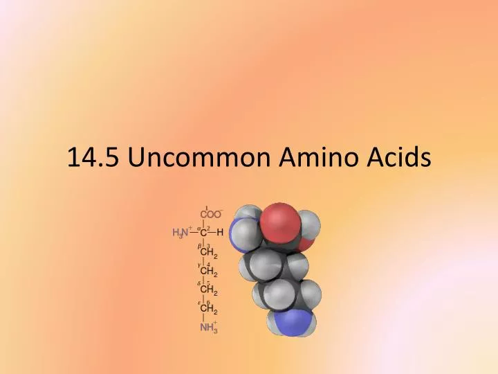 14 5 uncommon amino acids