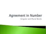 Agreement in Number