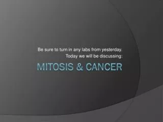 Mitosis &amp; Cancer