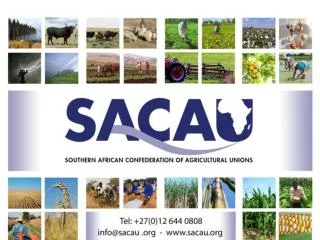 FINANCING AGRICULTURE IN SOUTHERN AFRICA: SETTING THE SCENE