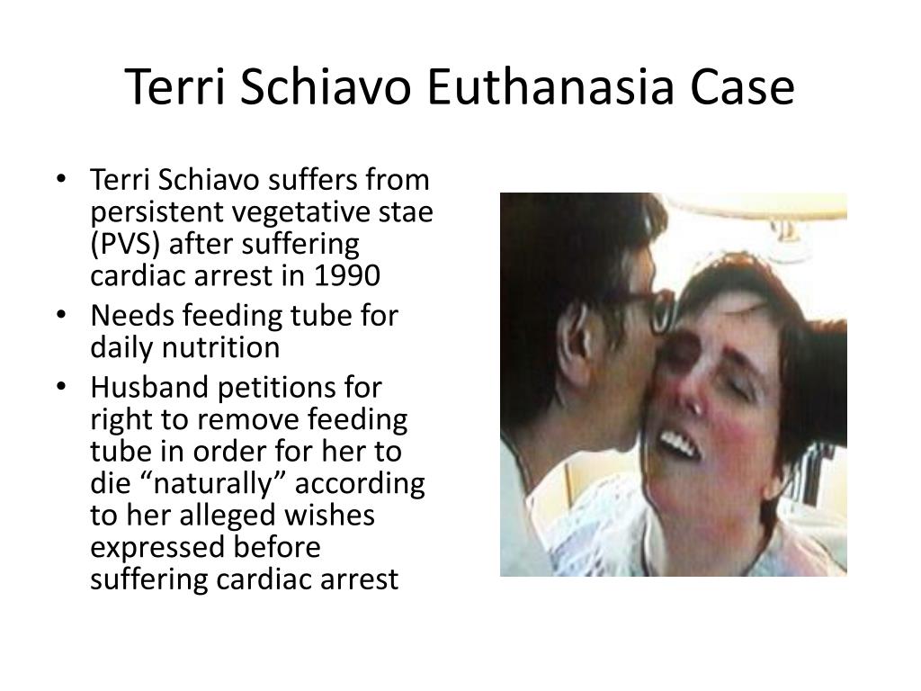PPT - Terri Schiavo Euthanasia Case PowerPoint Presentation, free ...