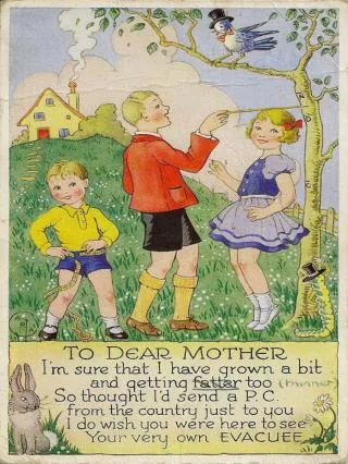 What does this postcard say about life in the country for evacuees?