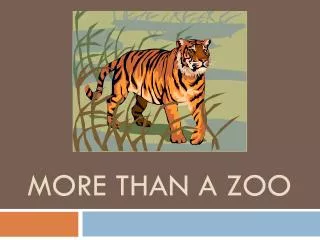 More Than A Zoo