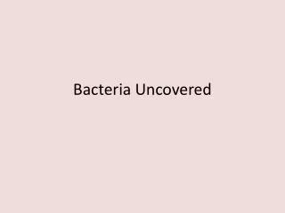 Bacteria Uncovered