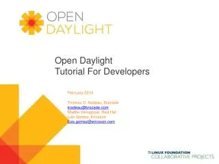 Open Daylight Tutorial For Developers
