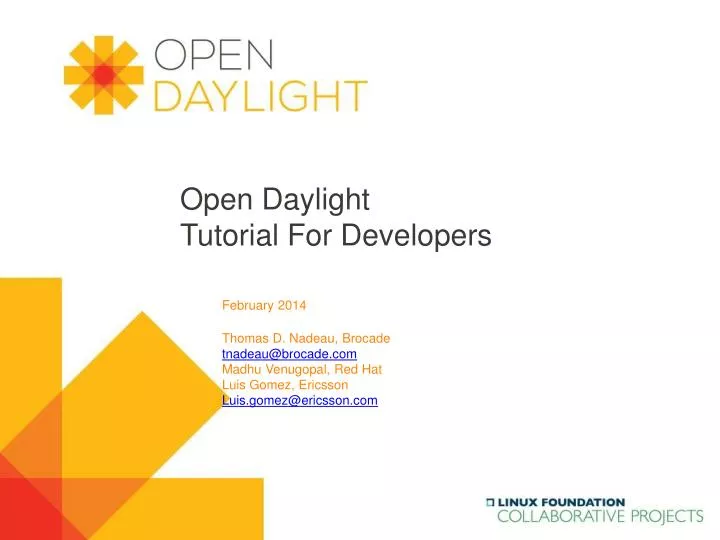 open daylight tutorial for developers