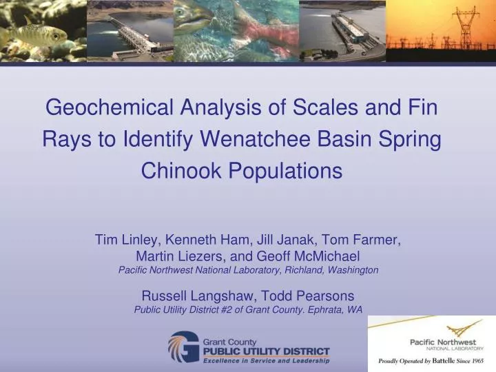 geochemical analysis of scales and fin rays to identify wenatchee basin spring chinook populations