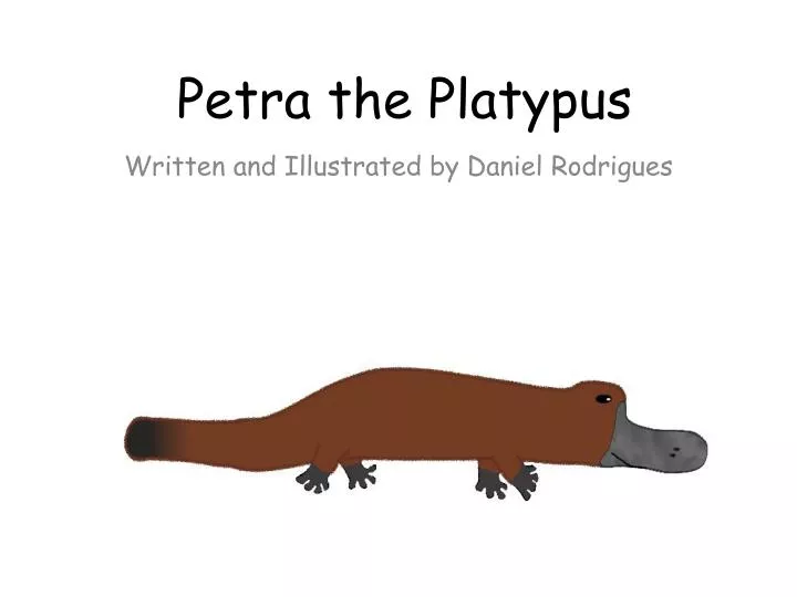 petra the platypus