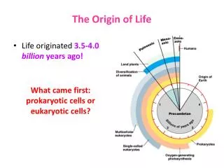 T he Origin of Life