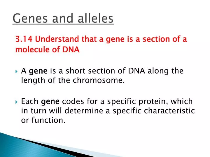 genes and alleles