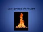 Guy Fawkes/Bonfire Night