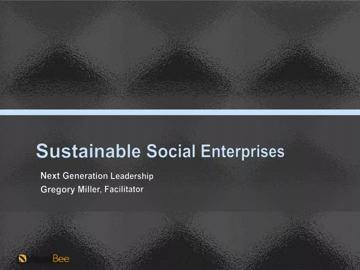 sustainable social enterprises