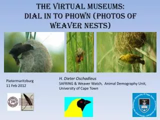 The virtual museums: Dial in to Phown (Photos of weaver nests)