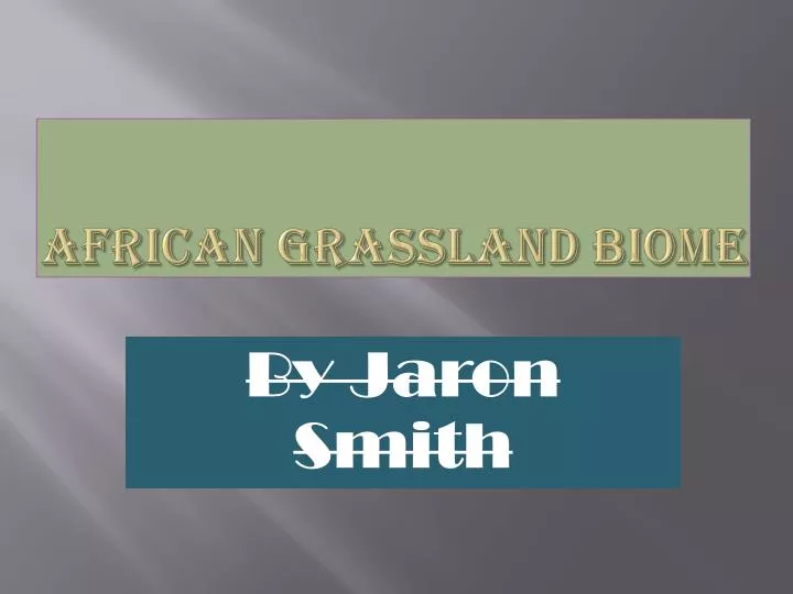 african grassland biome