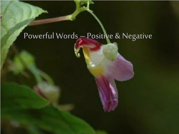 powerful words positive negative