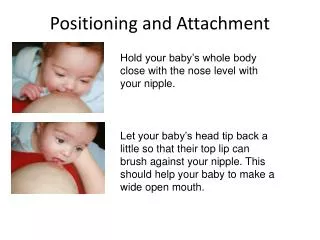 Positioning and Attachment