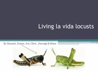 Living la vida locusts