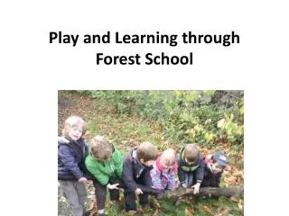 Play and Learning through Forest School