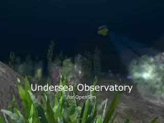 Undersea Observatory