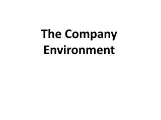 The Company Environment