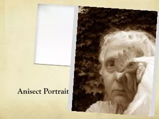 Anisect Portrait