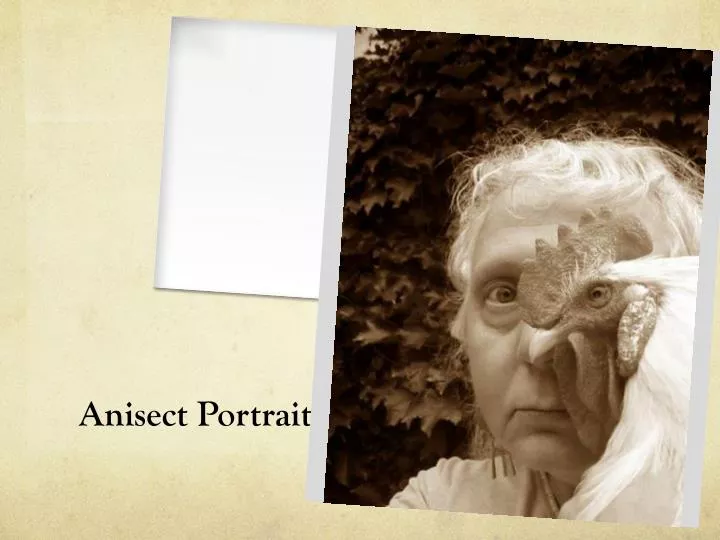 anisect portrait