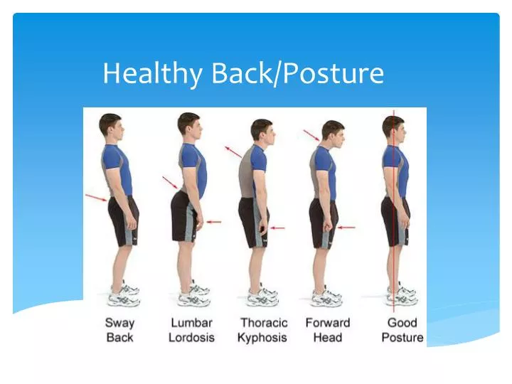 healthy back posture
