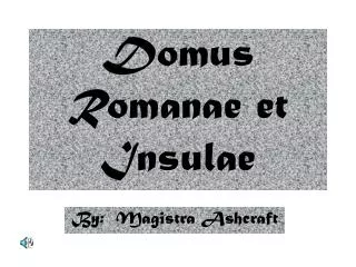 Domus Romanae et Insulae