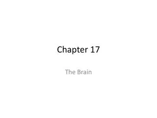 Chapter 17