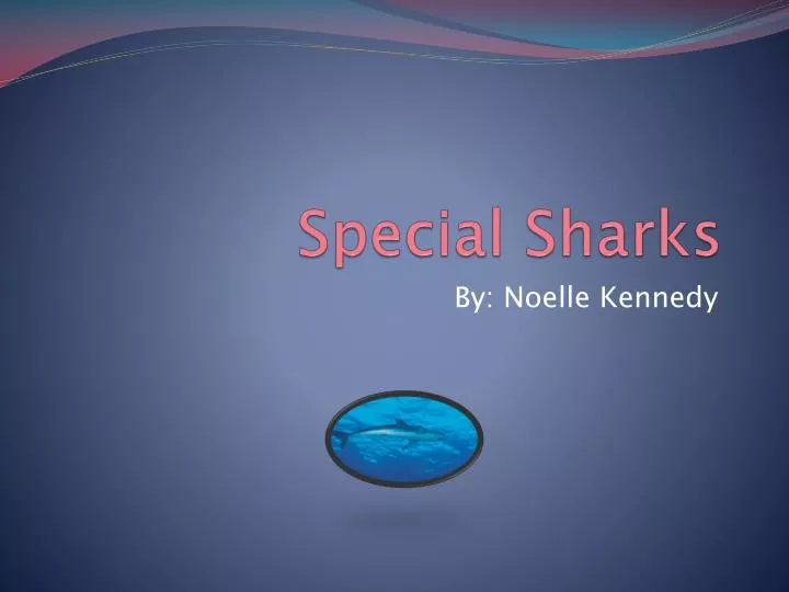 special sharks