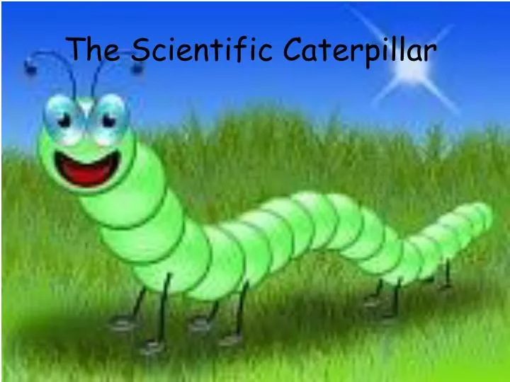 the scientific caterpillar