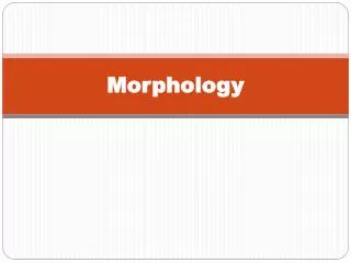 Morphology