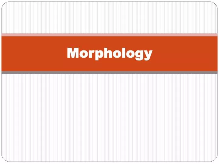 morphology