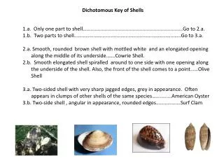 Dichotomous Key of Shells