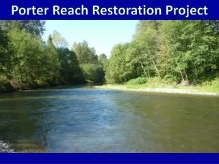 Porter Reach Restoration Project