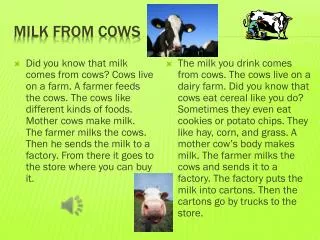 Milk From Cows