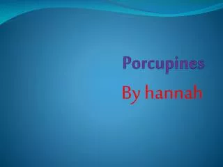 porcupines