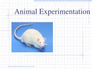 Animal Experimentation