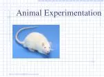 Animal Experimentation - slide 1