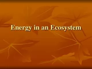 Energy in an Ecosystem