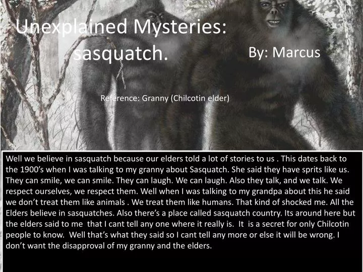 unexplained mysteries sasquatch