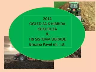 2014 OGLED SA 6 HIBRIDA KUKURUZA &amp; TRI SISTEMA OBRADE Brezina Pavel ml. i st.