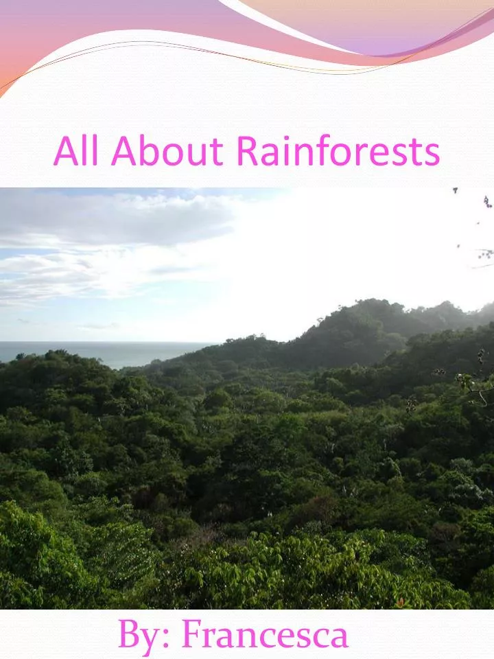 all about rainforests