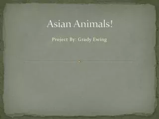 Asian Animals!